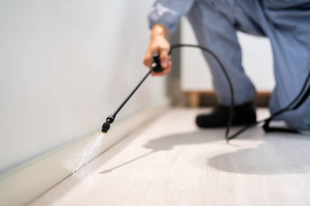 Bed Bug Pre-Treatment Preparation Assessment in Hill City