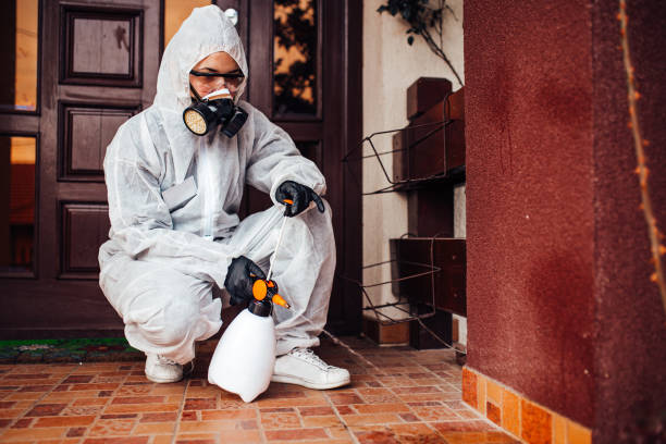 Multi-Unit and Airbnb Bed Bug Protocol in Hill City