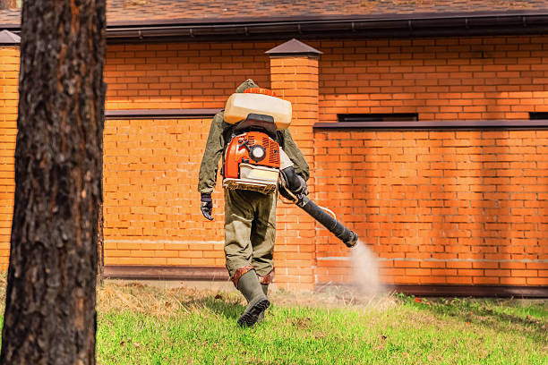 Bed Bug Clearance Verification and Documentation in Hill City